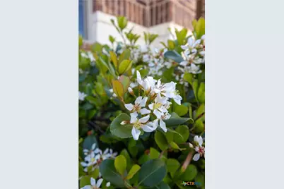 1008 Rosa Parks Drive, Killeen, TX 76543 - Photo 4