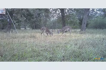 2427 Fm 234 South, Edna, TX 77957 - Photo 40