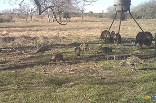 2427 Fm 234 S, Edna, TX 77957 - Photo 48