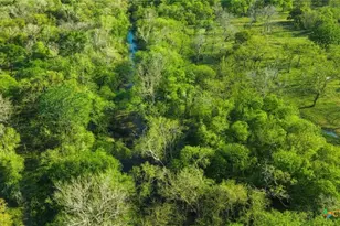 2427 Fm 234 S, Edna, TX 77957 - Photo 12