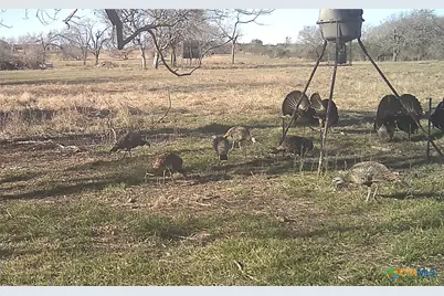 2427 Fm 234 South, Edna, TX 77957 - Photo 42