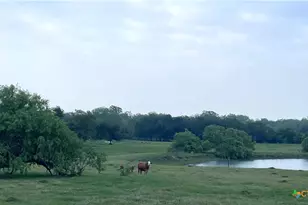 2427 Fm 234 S, Edna, TX 77957 - Photo 24