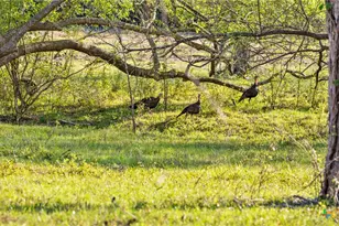 2427 Fm 234 S, Edna, TX 77957 - Photo 20