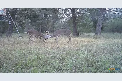 2427 Fm 234 South, Edna, TX 77957 - Photo 46