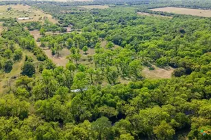 2427 Fm 234 S, Edna, TX 77957 - Photo 6