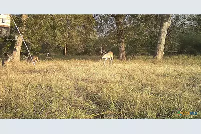 2427 Fm 234 South, Edna, TX 77957 - Photo 36