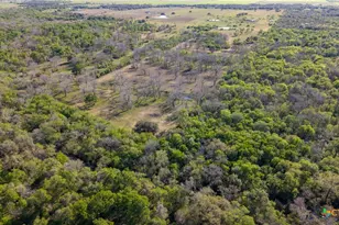 2427 Fm 234 S, Edna, TX 77957 - Photo 6