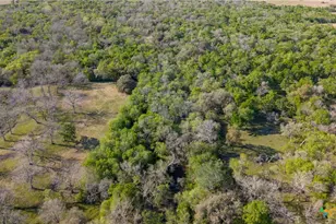 2427 Fm 234 S, Edna, TX 77957 - Photo 8