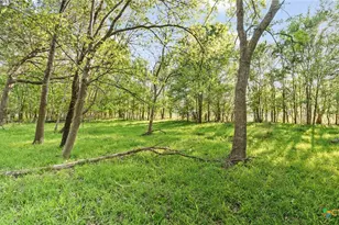 2427 Fm 234 S, Edna, TX 77957 - Photo 20