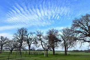 21344 FM 2268, Holland, TX 76534 - Photo 24