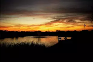 [Address not provided], La Vernia, TX 78121 - Photo 44