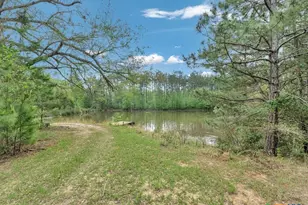 18770 Cr 3265D, Mount Enterprise, TX 75681 - Photo 22