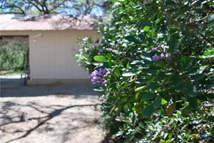 625 Mountain Laurel Dr, New Braunfels, TX 78132 - Photo 4