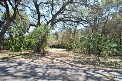 625 Mountain Laurel Drive, New Braunfels, TX 78132 - Photo 42