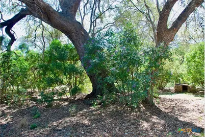 625 Mountain Laurel Drive, New Braunfels, TX 78132 - Photo 32