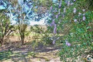 625 Mountain Laurel Dr, New Braunfels, TX 78132 - Photo 34