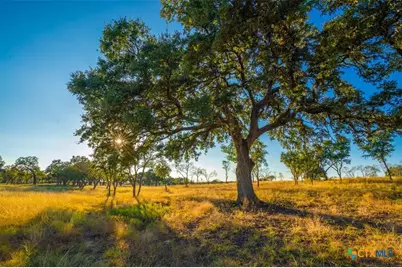 0 Golden Hour Ranch, Johnson City, TX 78636 - Photo 12