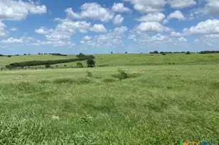 2110 Immenhauser Rd, Yoakum, TX 77995 - Photo 38