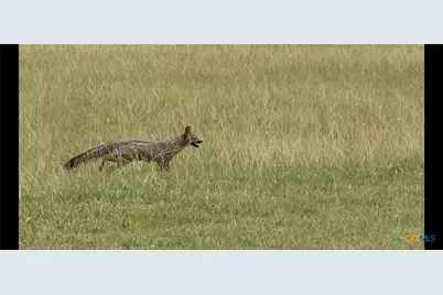 1701 Sycamore, Temple, TX 76502 - Photo 10