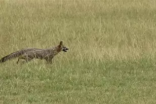 1701 Sycamore, Temple, TX 76502 - Photo 10