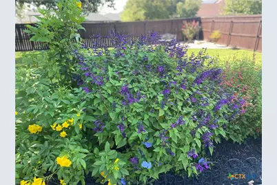 1001 High Plains Drive, Nolanville, TX 76559 - Photo 36