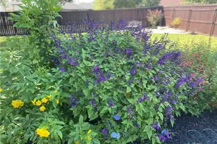 1001 High Plns Dr, Nolanville, TX 76559 - Photo 36