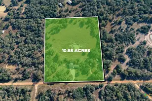 441 Private Rd 1065, Hallettsville, TX 77964 - Photo 24