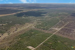 00 Fm 239, Tivoli, TX 77990 - Photo 8