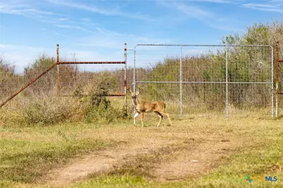 00 Fm 239, Tivoli, TX 77990 - Photo 10