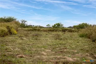 00 Fm 239, Tivoli, TX 77990 - Photo 38