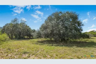 00 Fm 239, Tivoli, TX 77990 - Photo 14