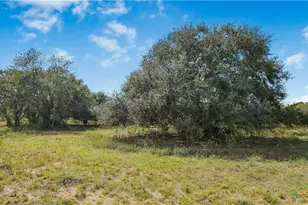 00 Fm 239, Tivoli, TX 77990 - Photo 14