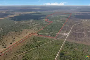 00 Fm 239, Tivoli, TX 77990 - Photo 40