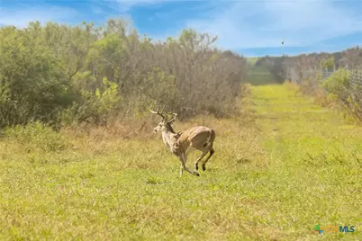 00 Fm 239, Tivoli, TX 77990 - Photo 32