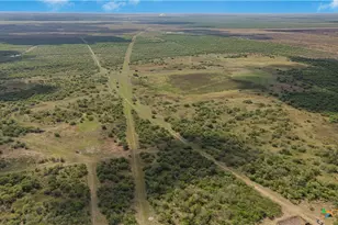 00 Fm 239, Tivoli, TX 77990 - Photo 28