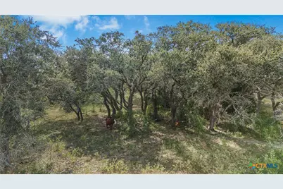 00 Fm 239, Tivoli, TX 77990 - Photo 16