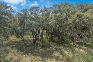 00 Fm 239, Tivoli, TX 77990 - Photo 16