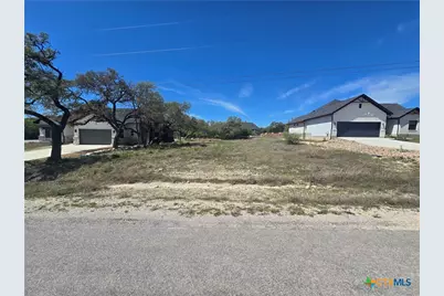 216 George Dolson, Blanco, TX 78606 - Photo 1