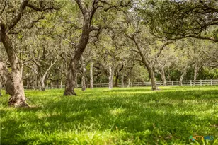 7209 US Hwy 87, Cuero, TX 77954 - Photo 34