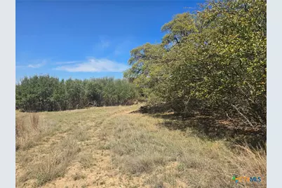 237 Roy Nichols Drive, Blanco, TX 78606 - Photo 6