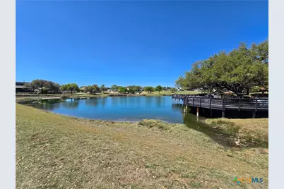 237 Roy Nichols Drive, Blanco, TX 78606 - Photo 12