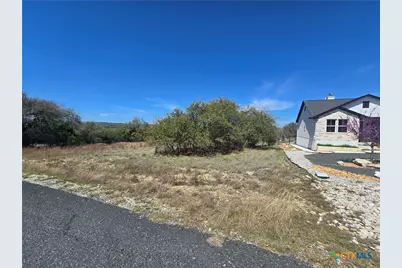 237 Roy Nichols Drive, Blanco, TX 78606 - Photo 4