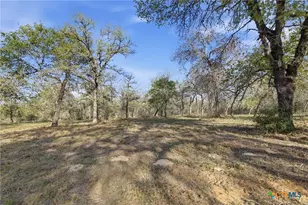 12001 FM1117, Seguin, TX 78155 - Photo 22