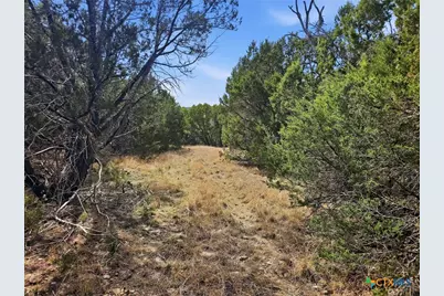 880 County Road 158, Evant, TX 76525 - Photo 10