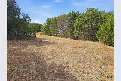 880 County Road 158, Evant, TX 76525 - Photo 24