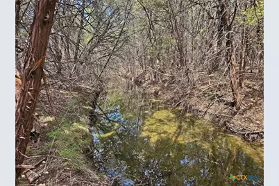 880 County Road 158, Evant, TX 76525 - Photo 4