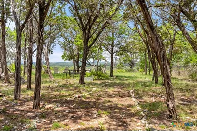 17 September Ridge, Johnson City, TX 78636 - Photo 40