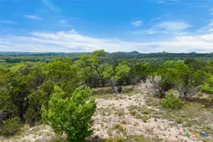 17 September Ridge, Johnson City, TX 78636 - Photo 38
