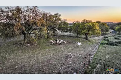 656 County Road 1301, Lampasas, TX 76550 - Photo 4