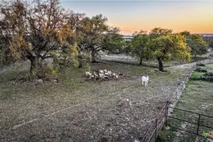 656 County Rd 1301, Lampasas, TX 76550 - Photo 4